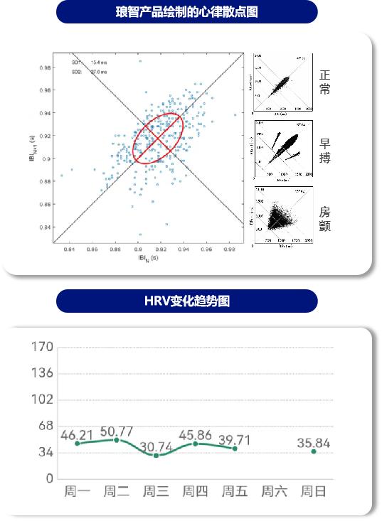 体动监测系统